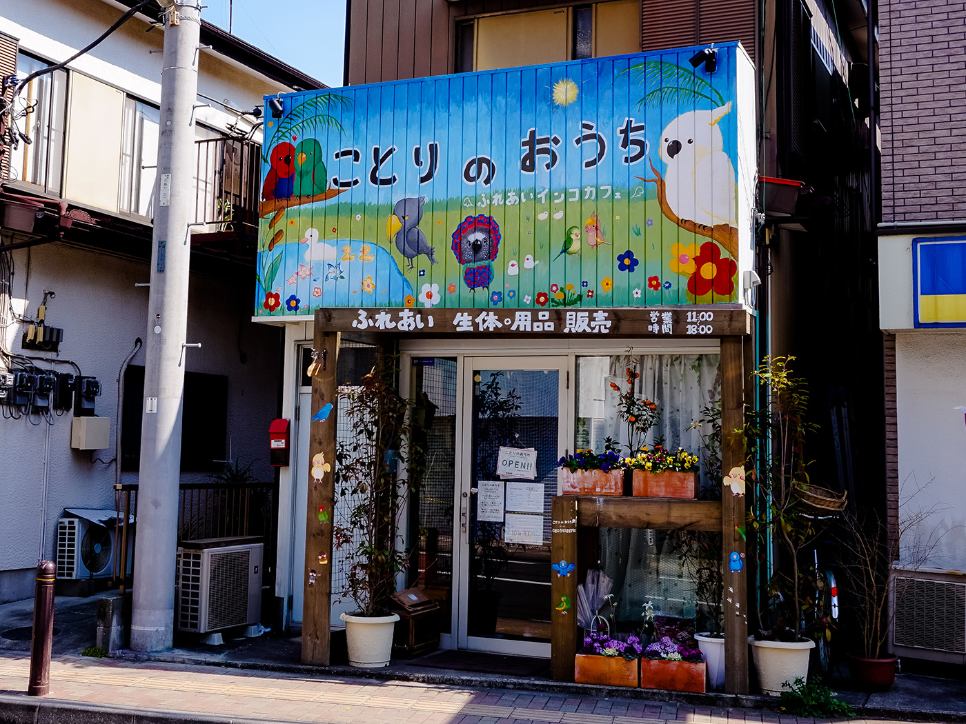 空前の鳥カフェブーム 湘南初 ことりと遊べる空間 ことりのおうち ふれあいインコカフェ Shonan Garden 湘南ガーデン