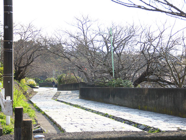 地元民も知らない 片瀬山から夕陽と富士山 そして町並みのパノラマビューを Shonan Garden 湘南ガーデン