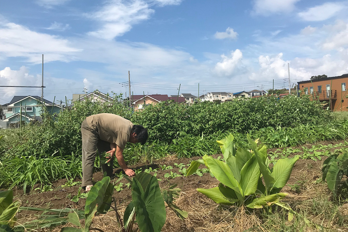 野菜と器で伝える日本の食文化「KHファーム」 | SHONAN garden（湘南ガーデン）