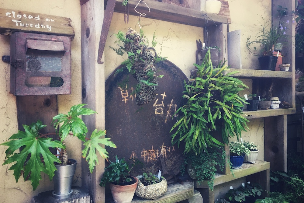鎌倉山のお屋敷街に佇む 希少植物の楽園 草花屋 苔丸 Shonan Garden 湘南ガーデン